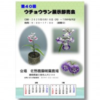 展示25