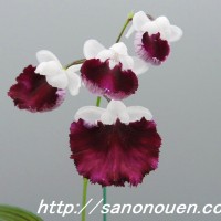 (150)