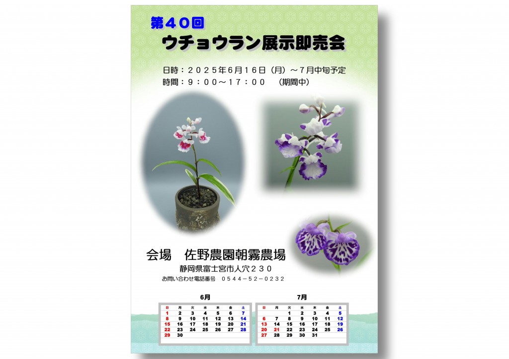 令和7年（2025年）ウチョウラン展示会予定 | 株式会社佐野農園