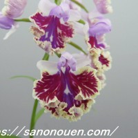 conv0004