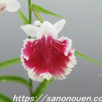 conv0005